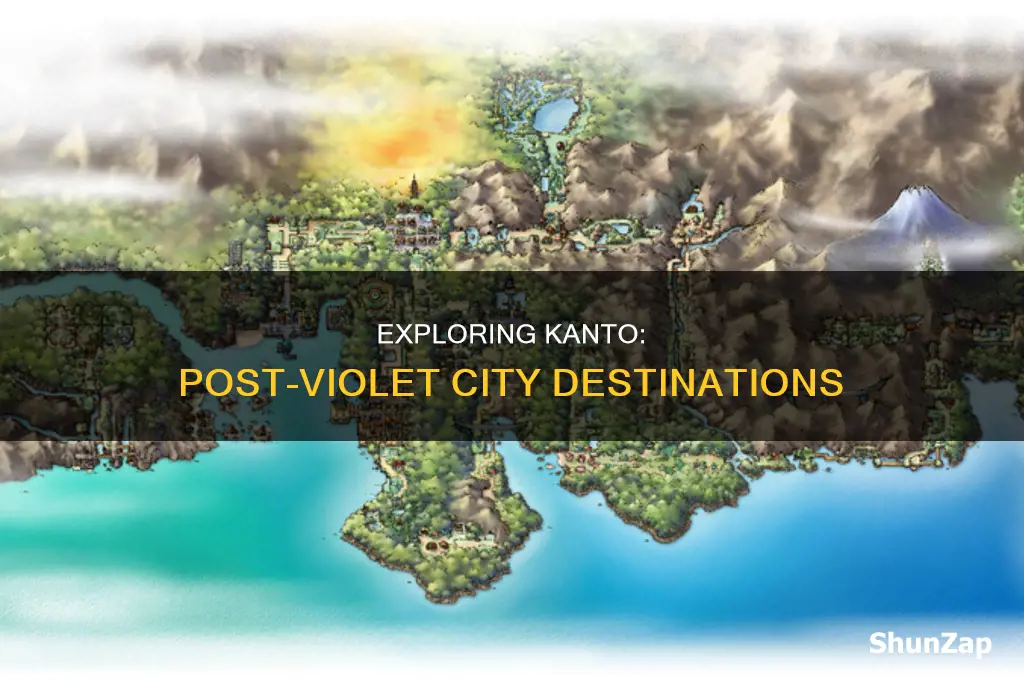 where to go after electric gym violet