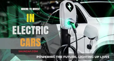 Top Electric Car Investment Opportunities: Where to Invest Wisely