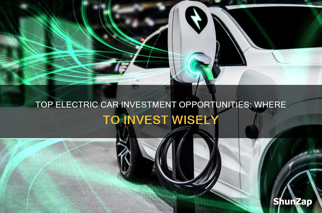 where to invest in electric cars