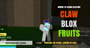 Electric Claw Blox Fruits: Master the Skills