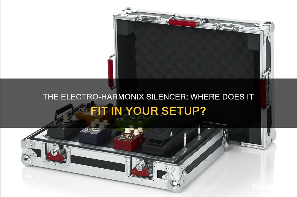 where to place the electro harmonix silencer