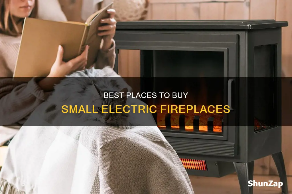 where to purchase a small electric fireplace