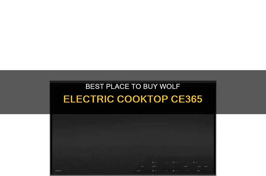 where to purchase wolf electric cooktop ce365