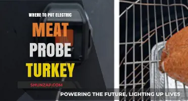 The Best Place to Put Your Electric Meat Probe in a Turkey