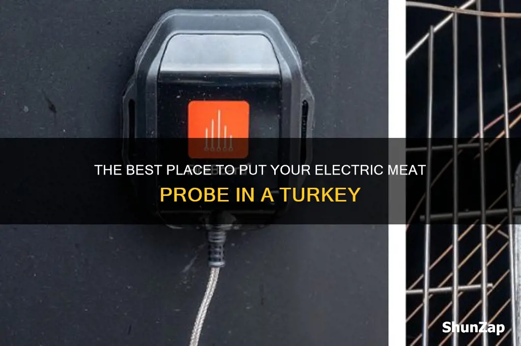 where to put electric meat probe turkey