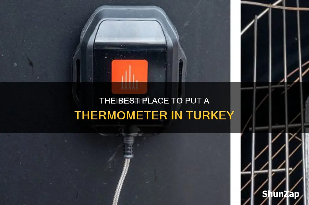 where to put electric thermometer in turkey
