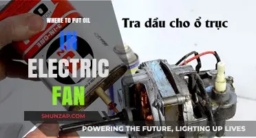 The Right Oil Application for Electric Fans