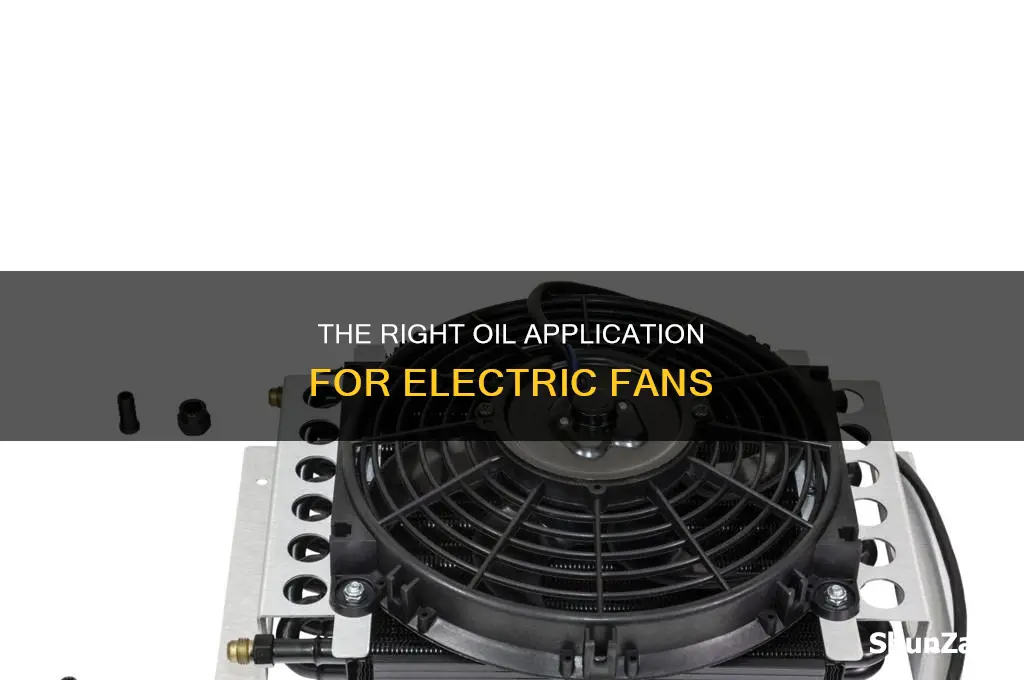 where to put oil in electric fan
