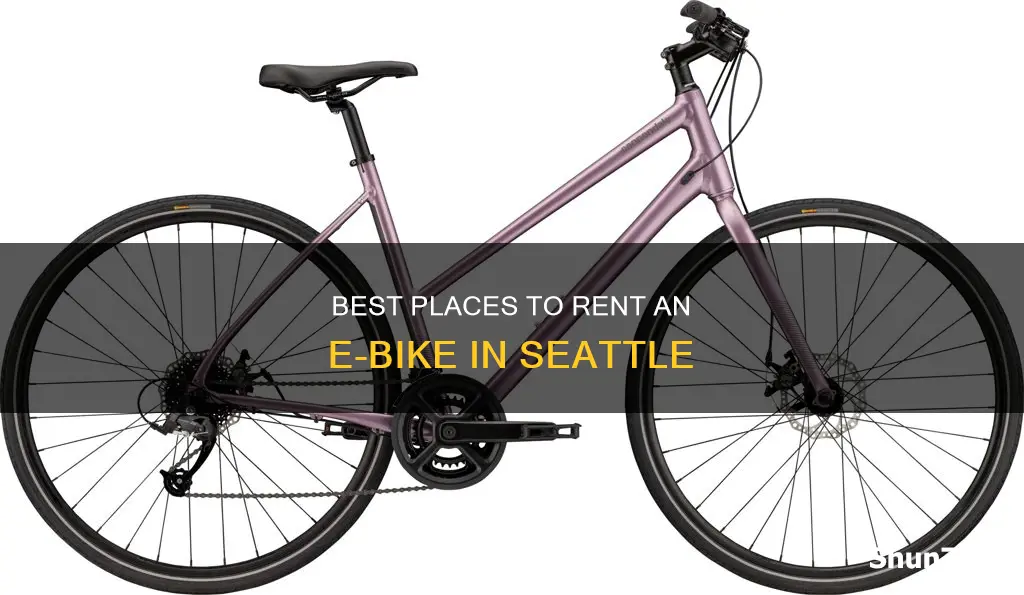 where to rent an electric bike in seattle