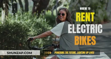 Exploring Electric Bike Rental Options for Your Next Adventure