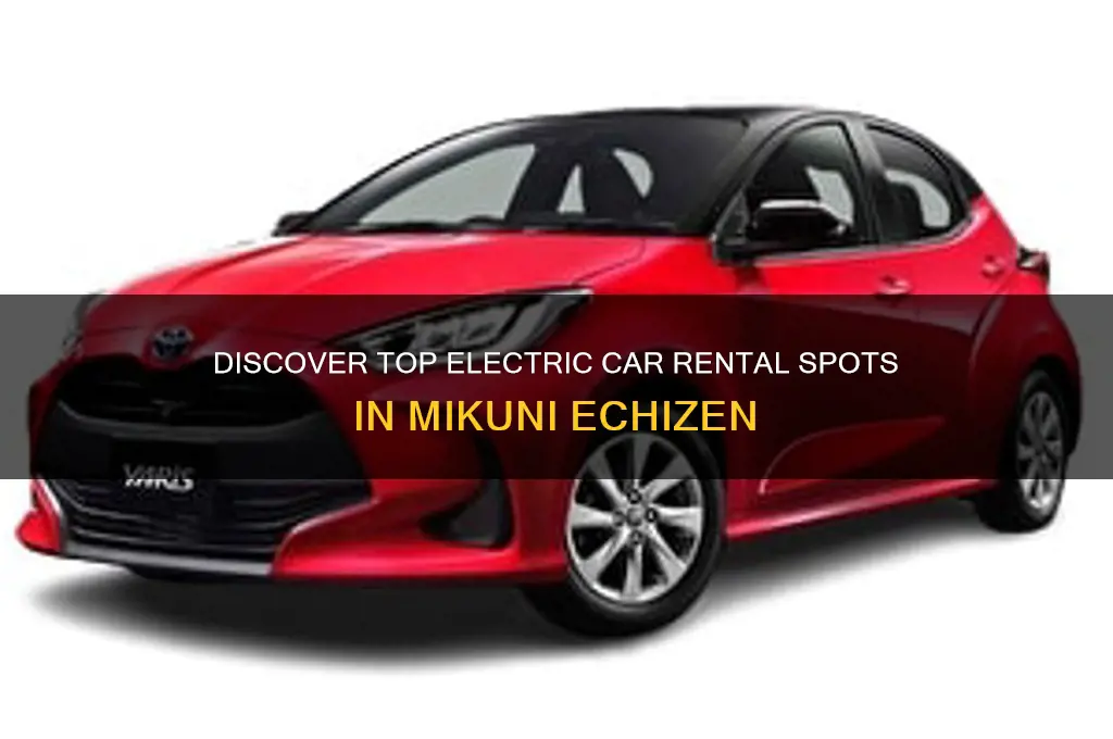 where to rent electric car in mikuni echizen