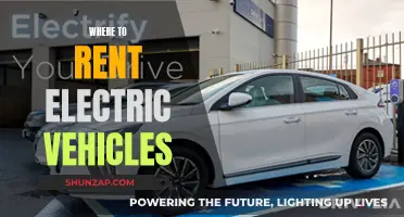 Exploring Options: Electric Vehicle Rentals