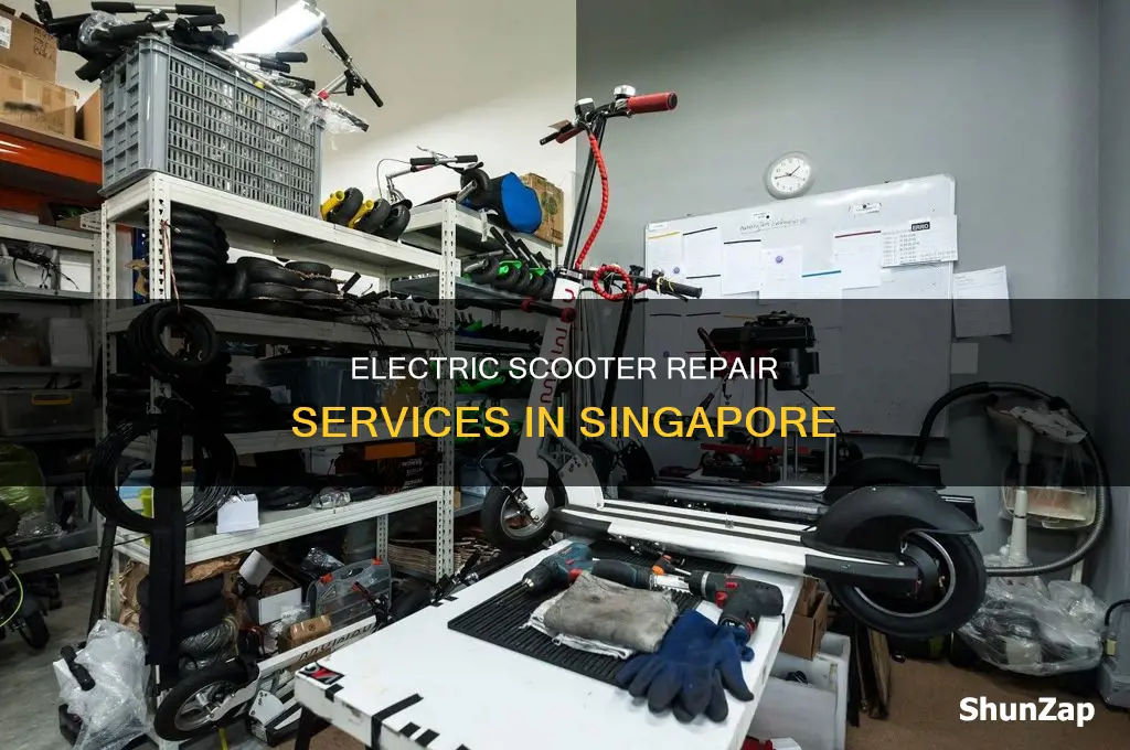 where to repair electric scooter in singapore