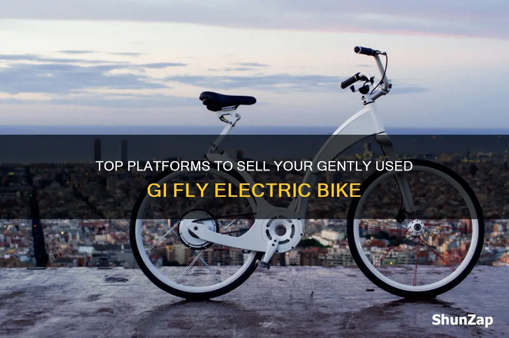 where to sell gently used gi fly electric bike