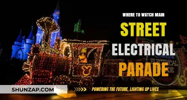 Electrical Parade: Best Viewing Spots Guide