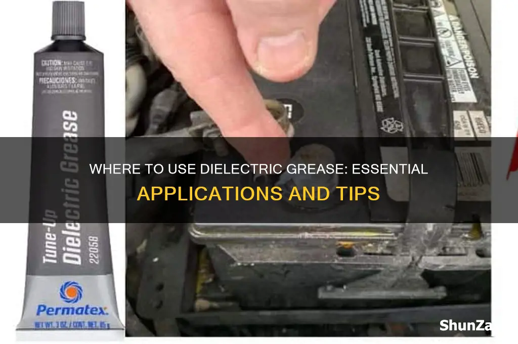 where to you use die electric grease