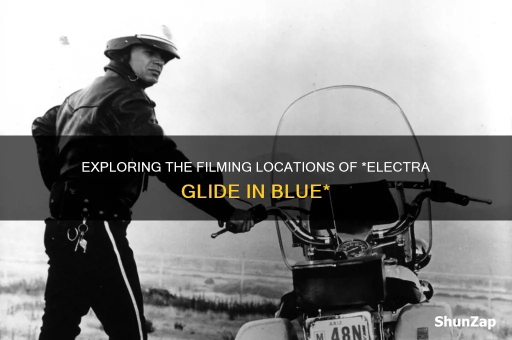 where was electra glide in blue filmed