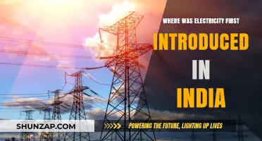 The First Spark: Where Did India's Electric Journey Begin?