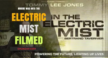 Exploring the Filming Locations of "Into the Electric Mist