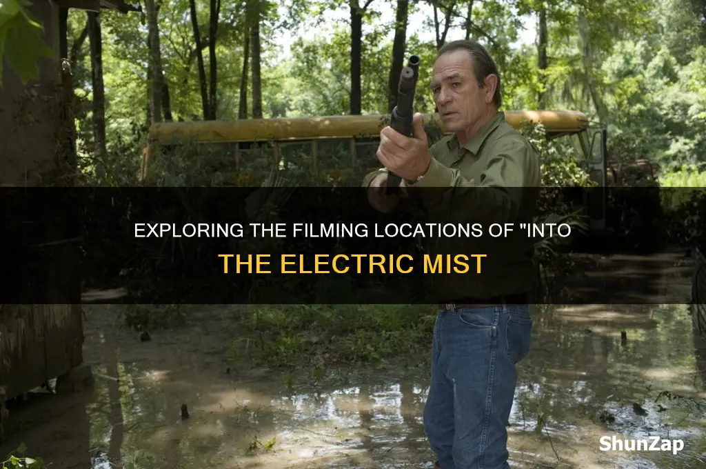 where was into the electric mist filmed