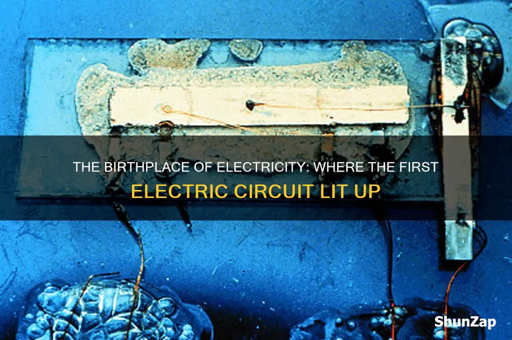 where was the first electric circuit used