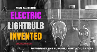 The First Electric Lightbulb: A Bright Idea's Origin