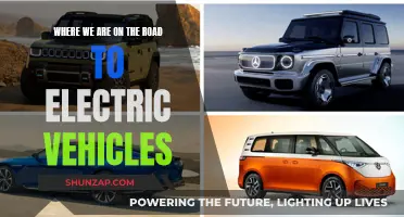 The Electric Revolution: Our Journey to a Sustainable Future