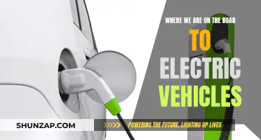 Electric Vehicles: The Road to Revolutionizing Transportation