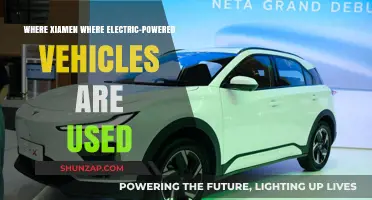 Xiamen's Green Revolution: Electric Vehicles Leading the Sustainable Urban Shift