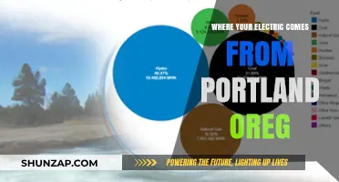 Portland's Power Sources: Unlocking Oregon's Energy Secrets