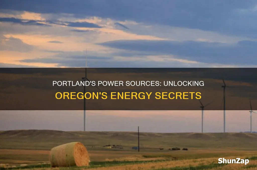 where your electric comes from portland oreg
