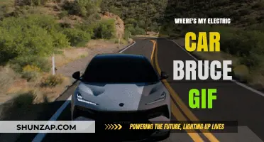 Where's My Electric Car, Bruce? Hilarious GIF Explained and Shared