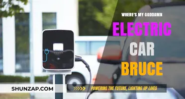 Where's My Goddamn Electric Car, Bruce? Frustrations & Expectations