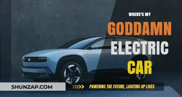 Where’s My Goddamn Electric Car? The Frustrating Wait Explained