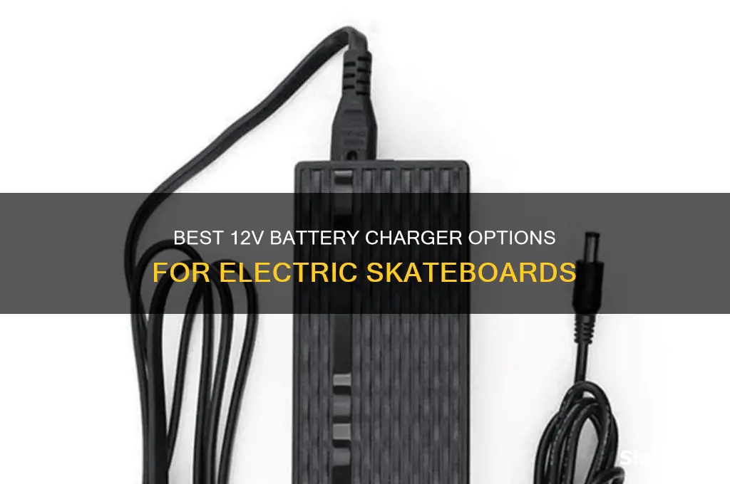 which 12s battery charger should i use electric skateboard