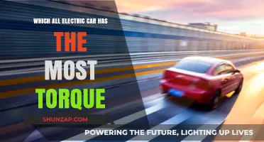 Electric Car Torque Showdown: Which Model Delivers Maximum Power?