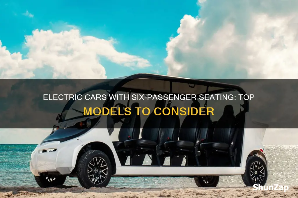 which all electric cars have six passengers