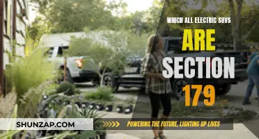 Electric SUVs and Section 179: Which Models Qualify?