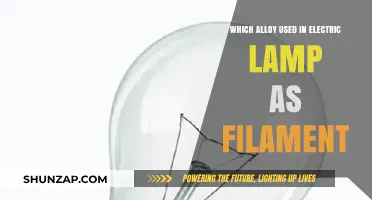 Tungsten Alloy: The Ideal Filament Material for Electric Lamps