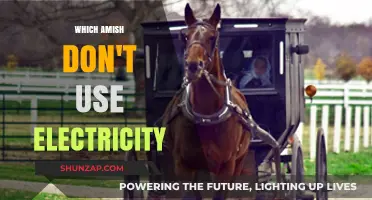 Why Amish Communities Choose to Live Without Electricity: A Simple Life