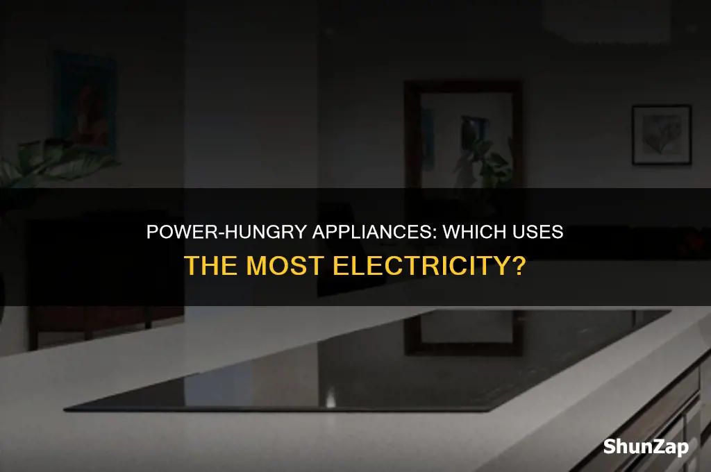 which appliance has the highest electrical rating