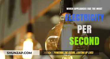 Top Energy-Hungry Appliances: Which Devices Drain Electricity Fastest?