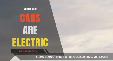 Discover Audi's Electric Lineup: Models, Features, and Performance Highlights