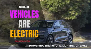 Audi's Electric Revolution: Exploring Their EV Lineup