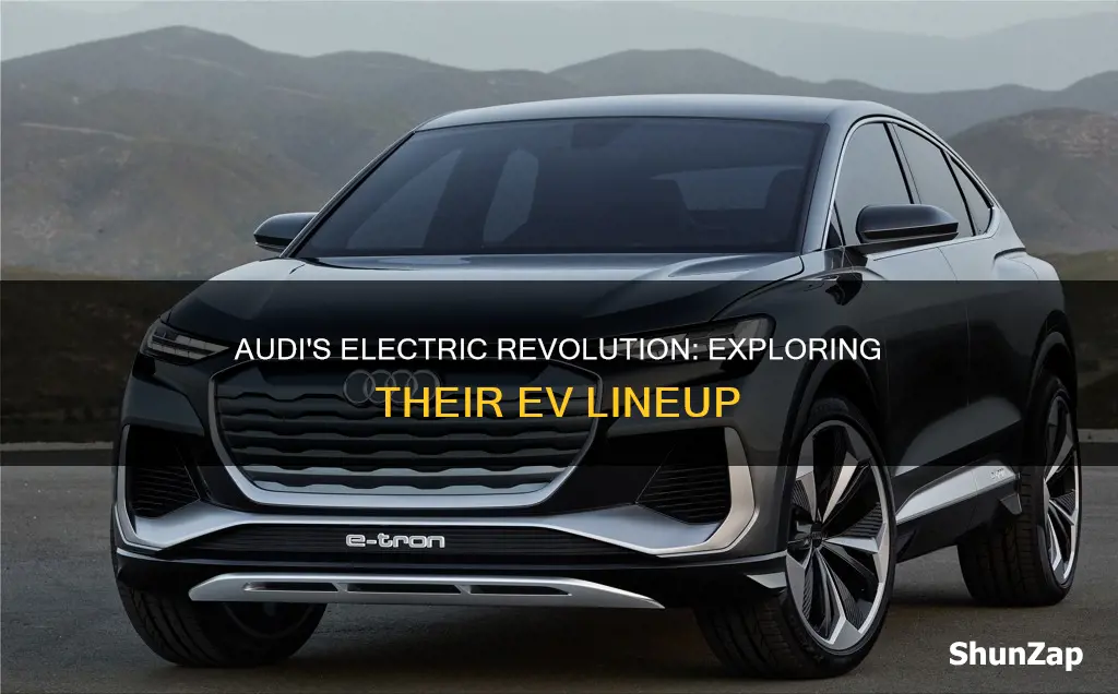 which audi vehicles are electric