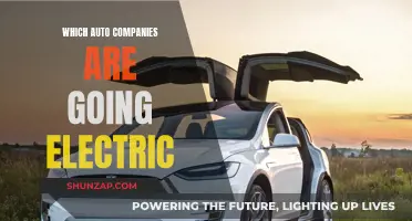 Auto Companies Committing to an Electric Future