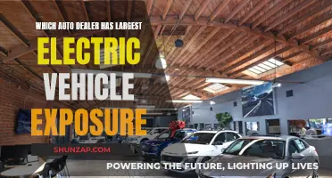 Electric Future: Which Dealer Leads the Charge?