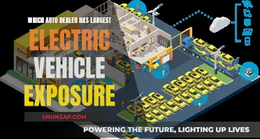 Electric Vehicle Revolution: Dealers with Largest EV Collections