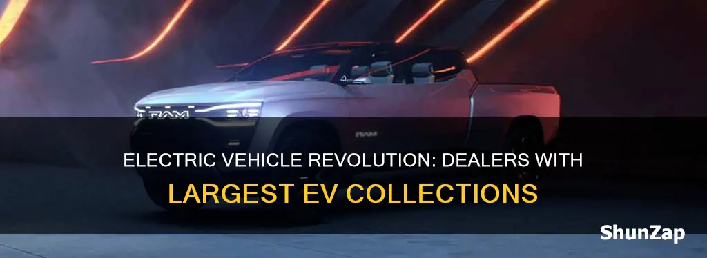 which auto dealer has largest electric vehicle exposure