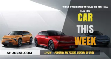 Revolutionary Ride: Automaker Unveils First All-Electric Car This Week